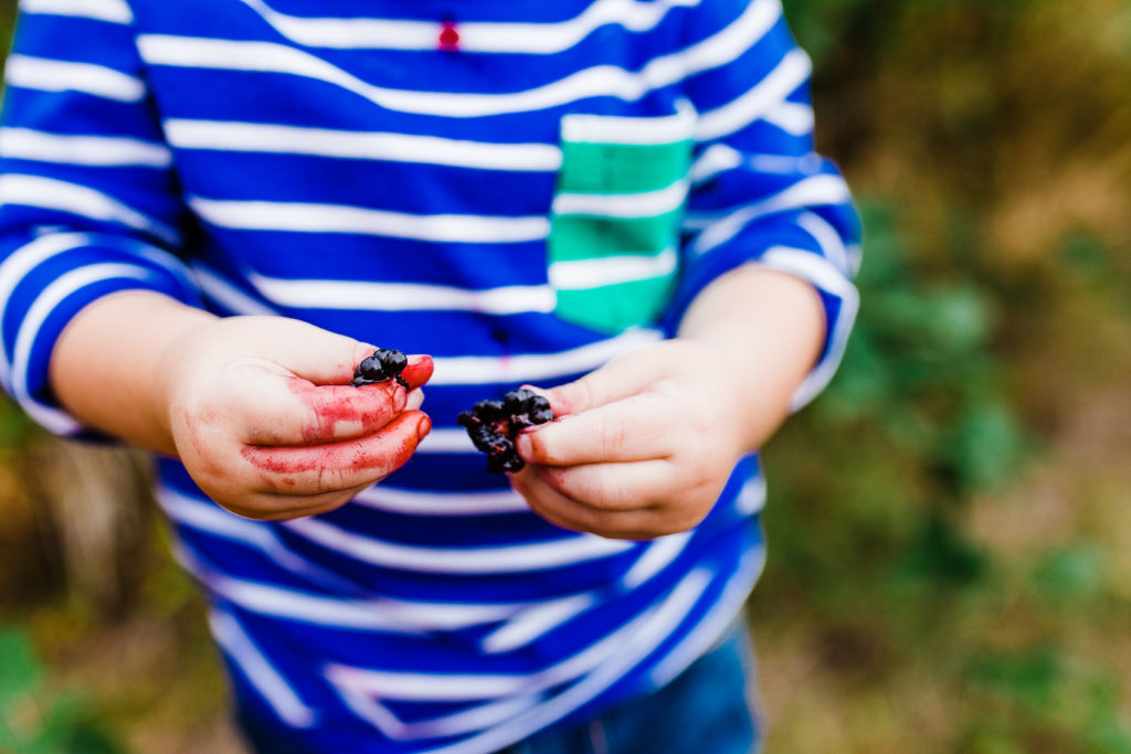 Phelps Fruit and Berry Farm | truly photography