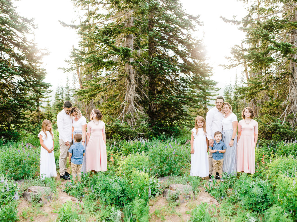 Albion Basin Wildflowers | Truly Photography | Utah Family Photographer