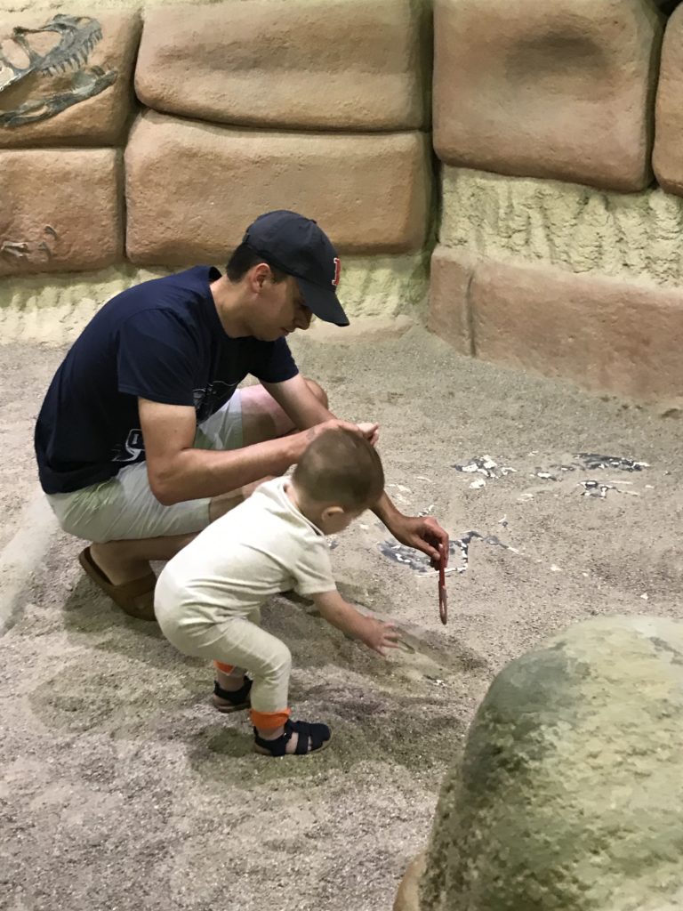 Things to do in Lehi | Museum of Ancient Life