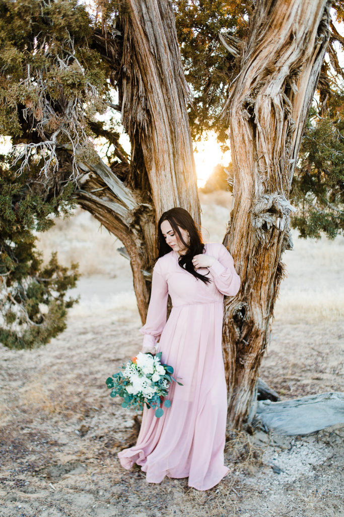 Little Saharara Bridals | Utah Wedding Photographer