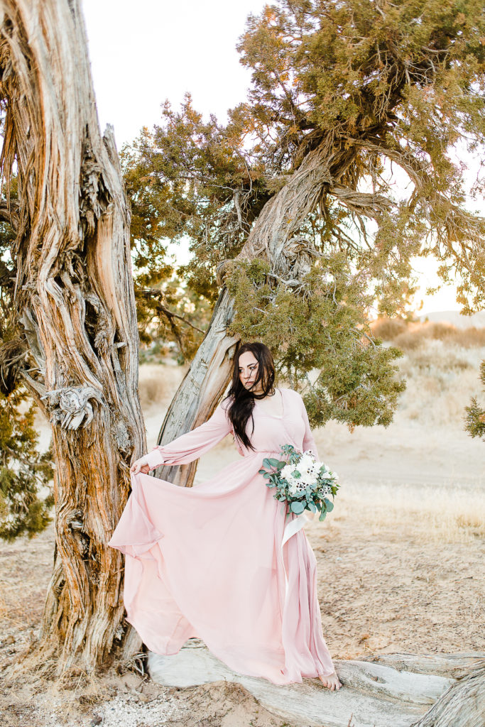 Little Sahara Bridals | Utah Wedding Photographer