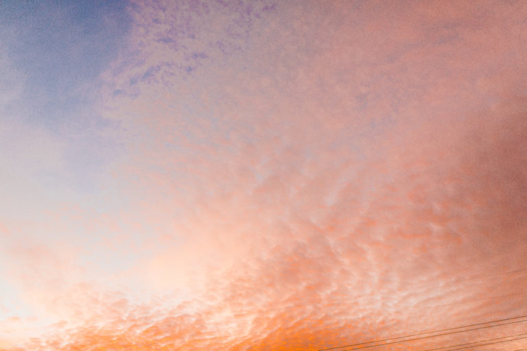 Composition in Photography | Truly Photography