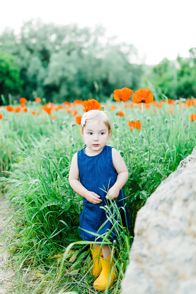 Bell Family | Mantua Poppy Fields | Utah Family Photographer