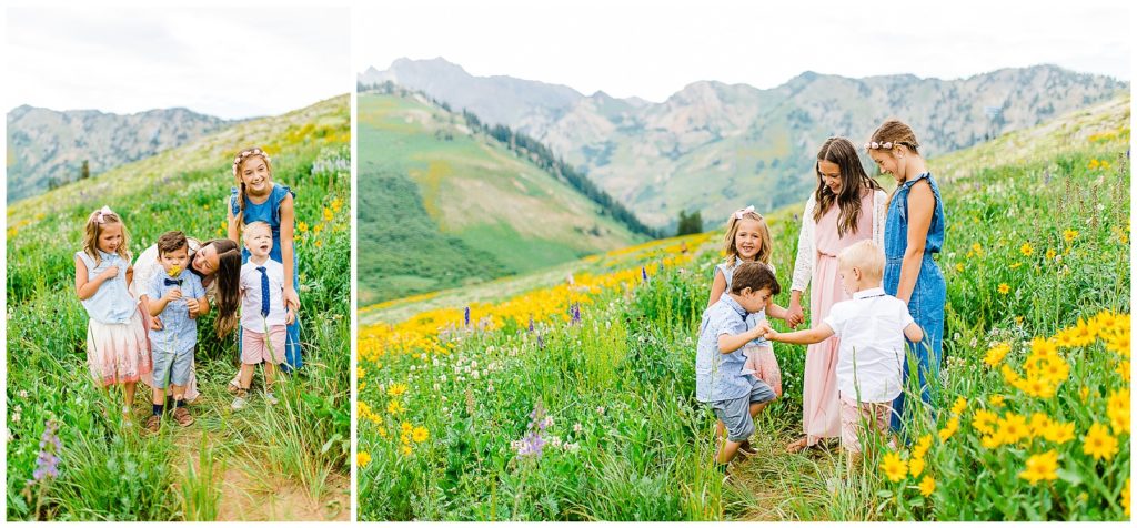 Harmon | Albion Basin Family Pictures