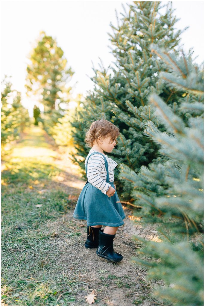 Baird | Tree Farm Pictures | Utah Family Photographer