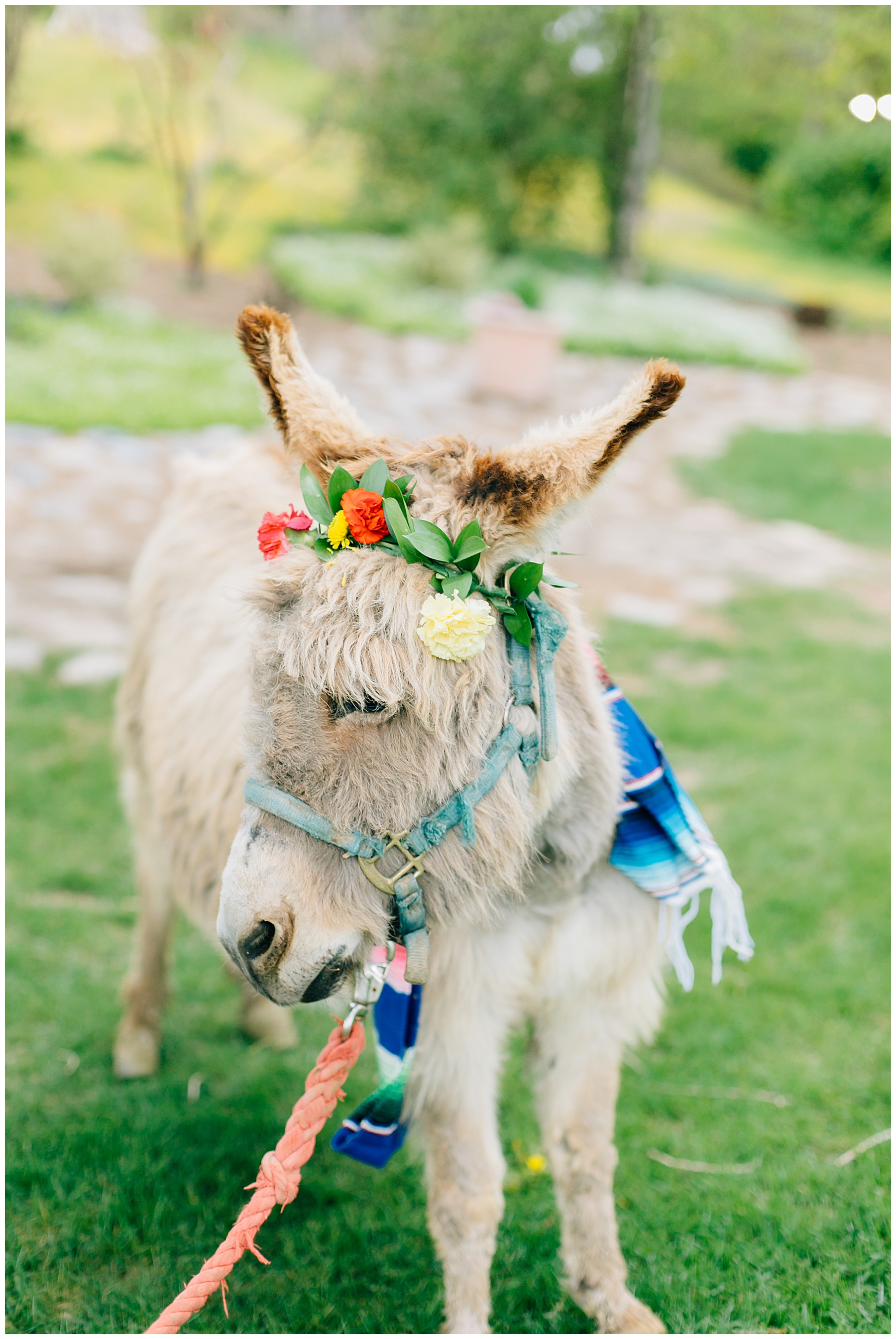 Cinco de Mayo Inspired Wedding | Utah Wedding Photographer