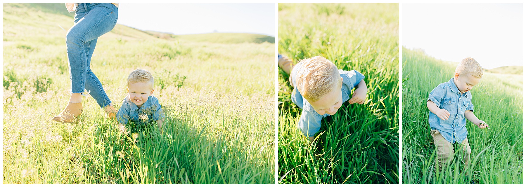 Brown | Tunnel Springs Family Pictures