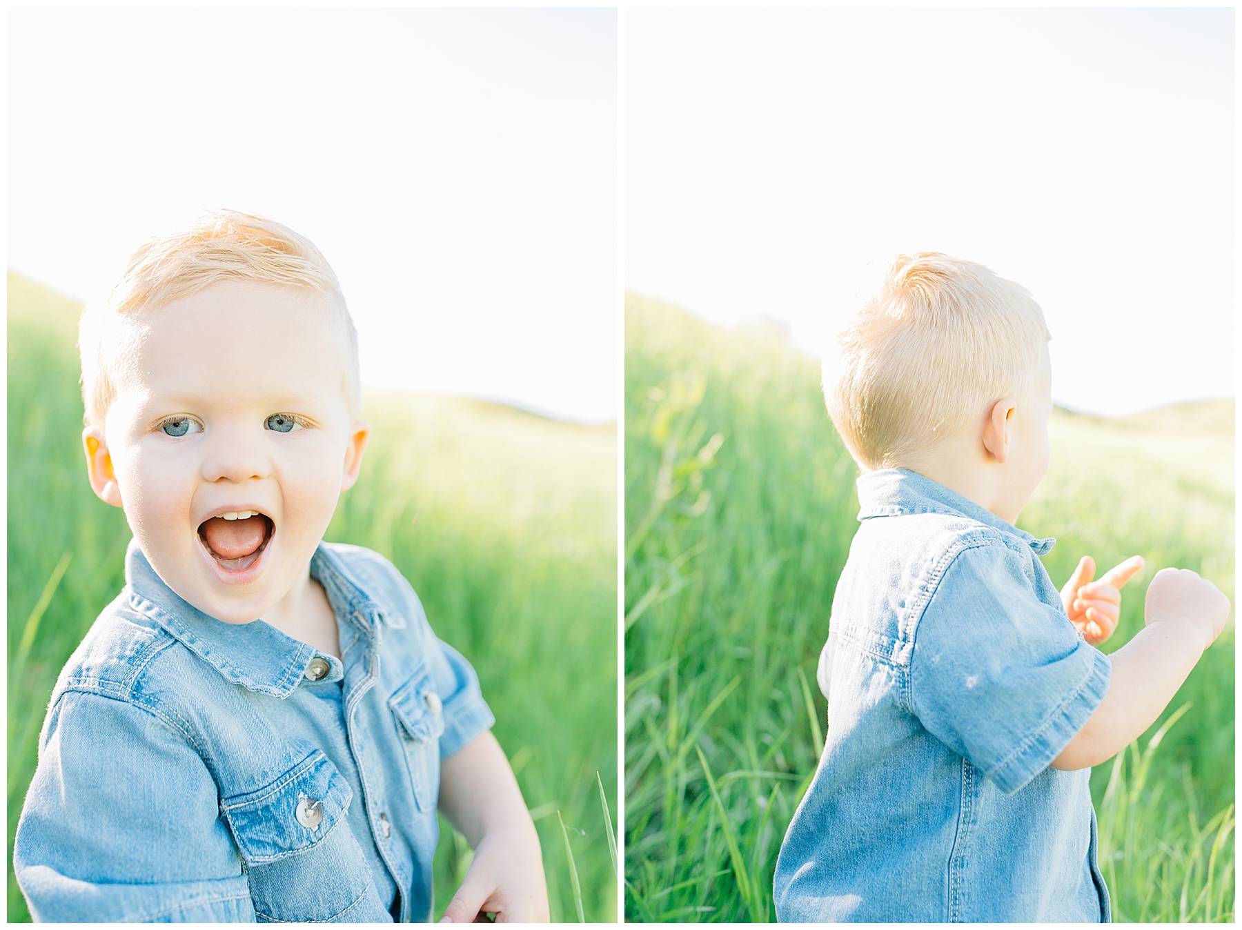 Brown | Tunnel Springs Family Pictures