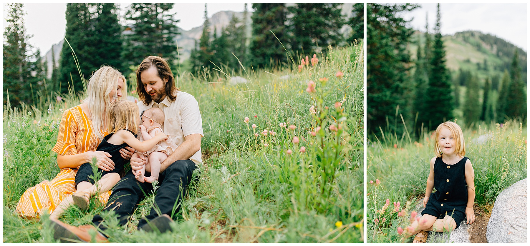 Staples | Rainy Albion Basin Family Pictures