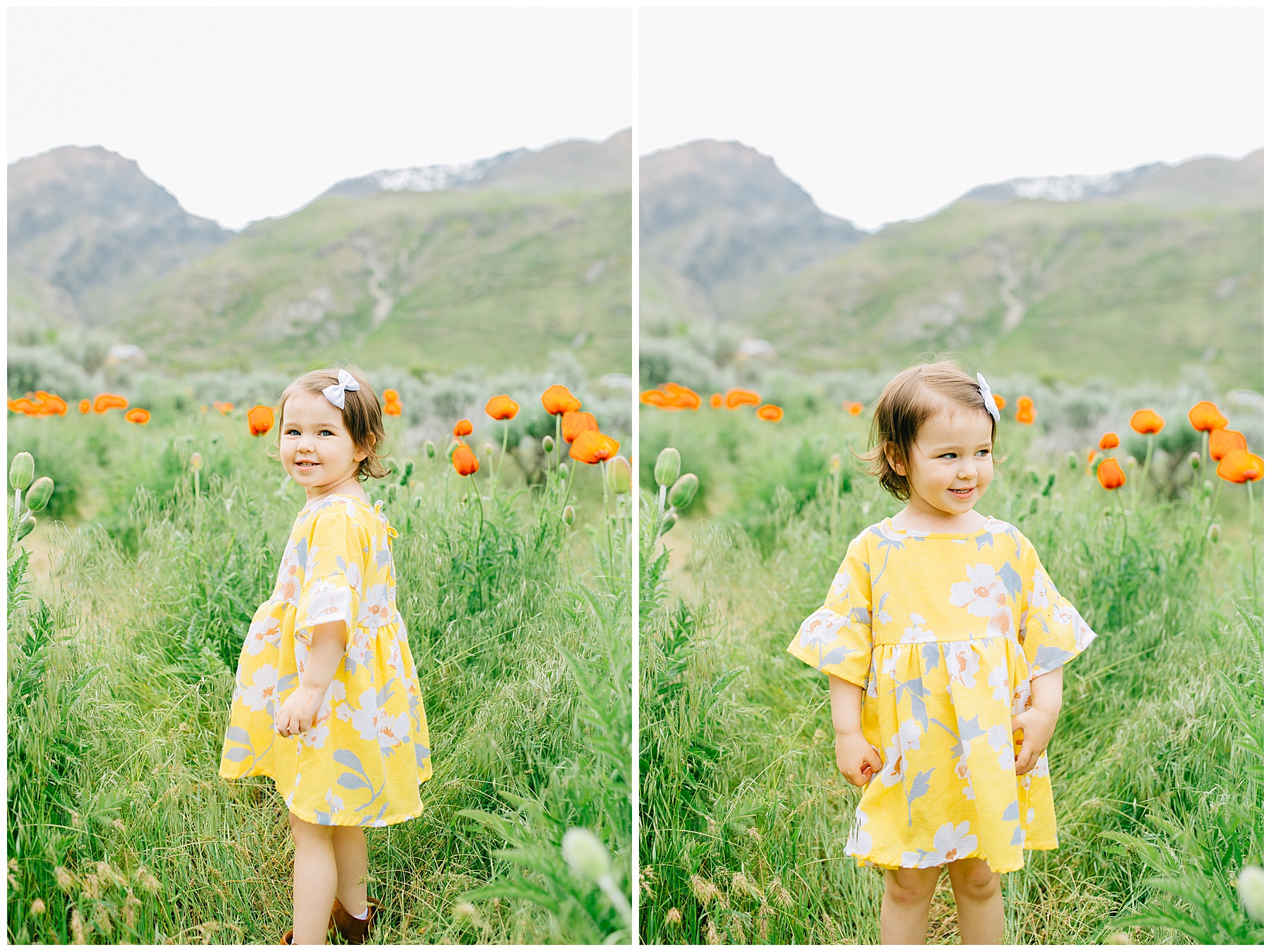 Alpine Poppy Field Family Pictures | Nelson Family