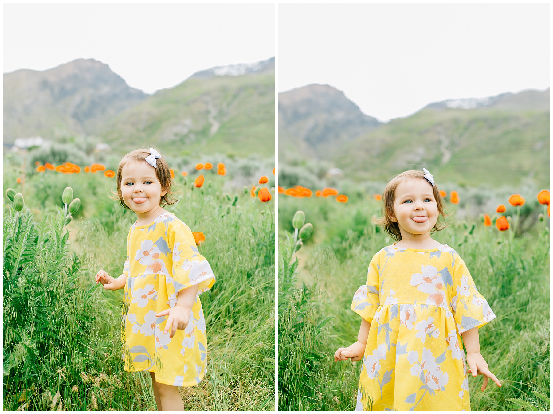 Alpine Poppy Field Family Pictures | Nelson Family