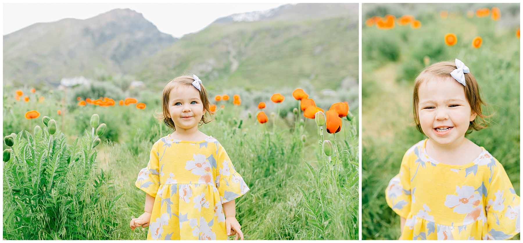 Alpine Poppy Field Family Pictures | Nelson Family