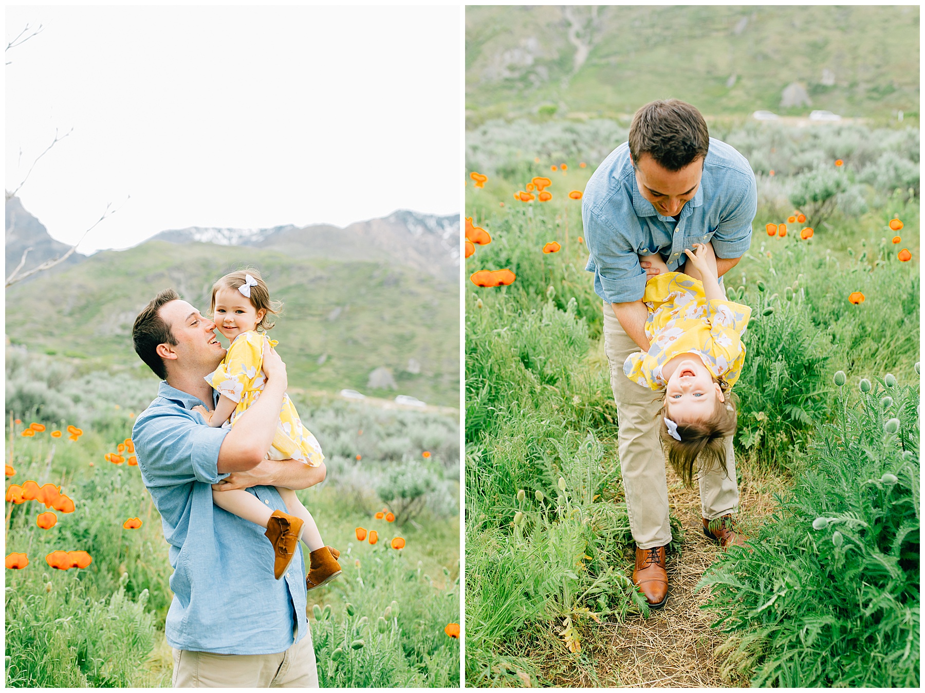 Alpine Poppy Field Family Pictures | Nelson Family