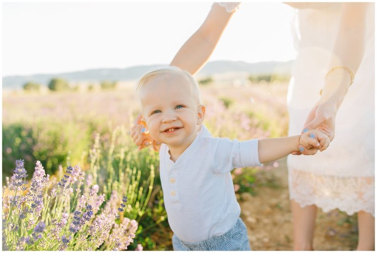 Nichols | Mona Lavender Fields Pictures