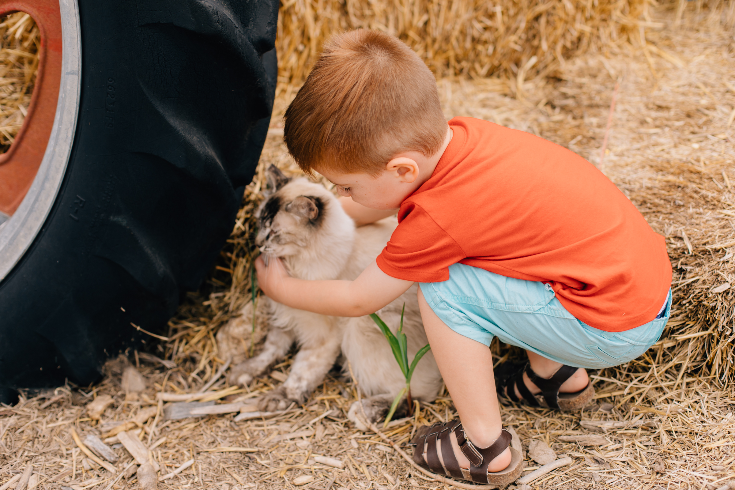 A Day at Peterson's Farm in Riverton