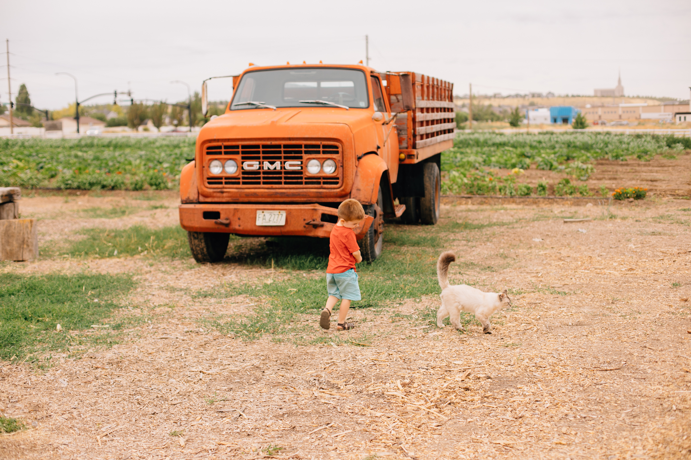 A Day at Peterson's Farm in Riverton