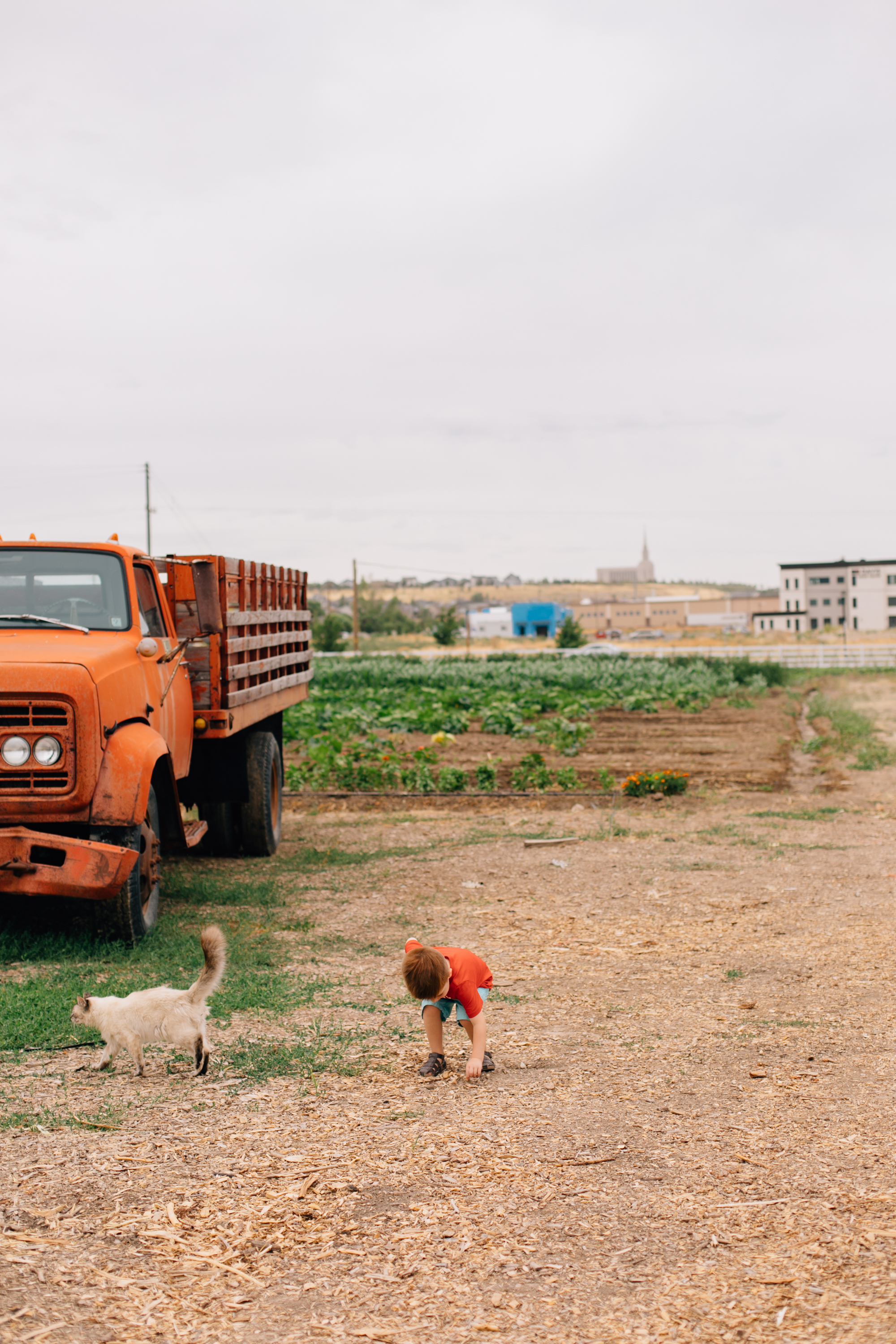 A Day at Peterson's Farm in Riverton