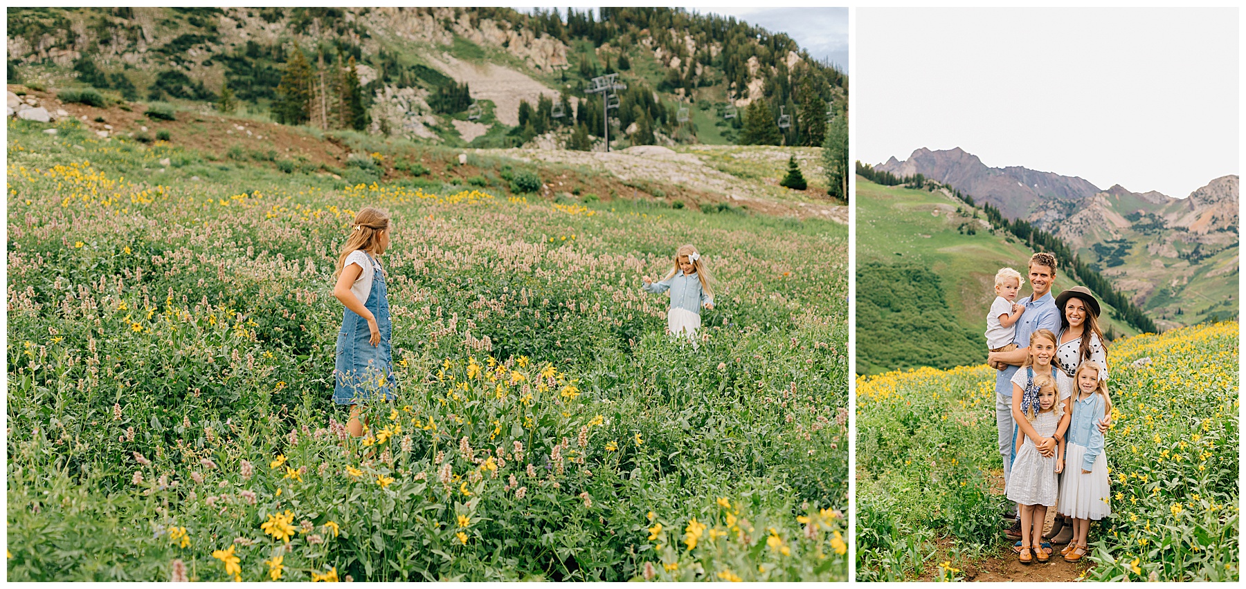 Schmutz | Cloudy Albion Basin Family Pictures