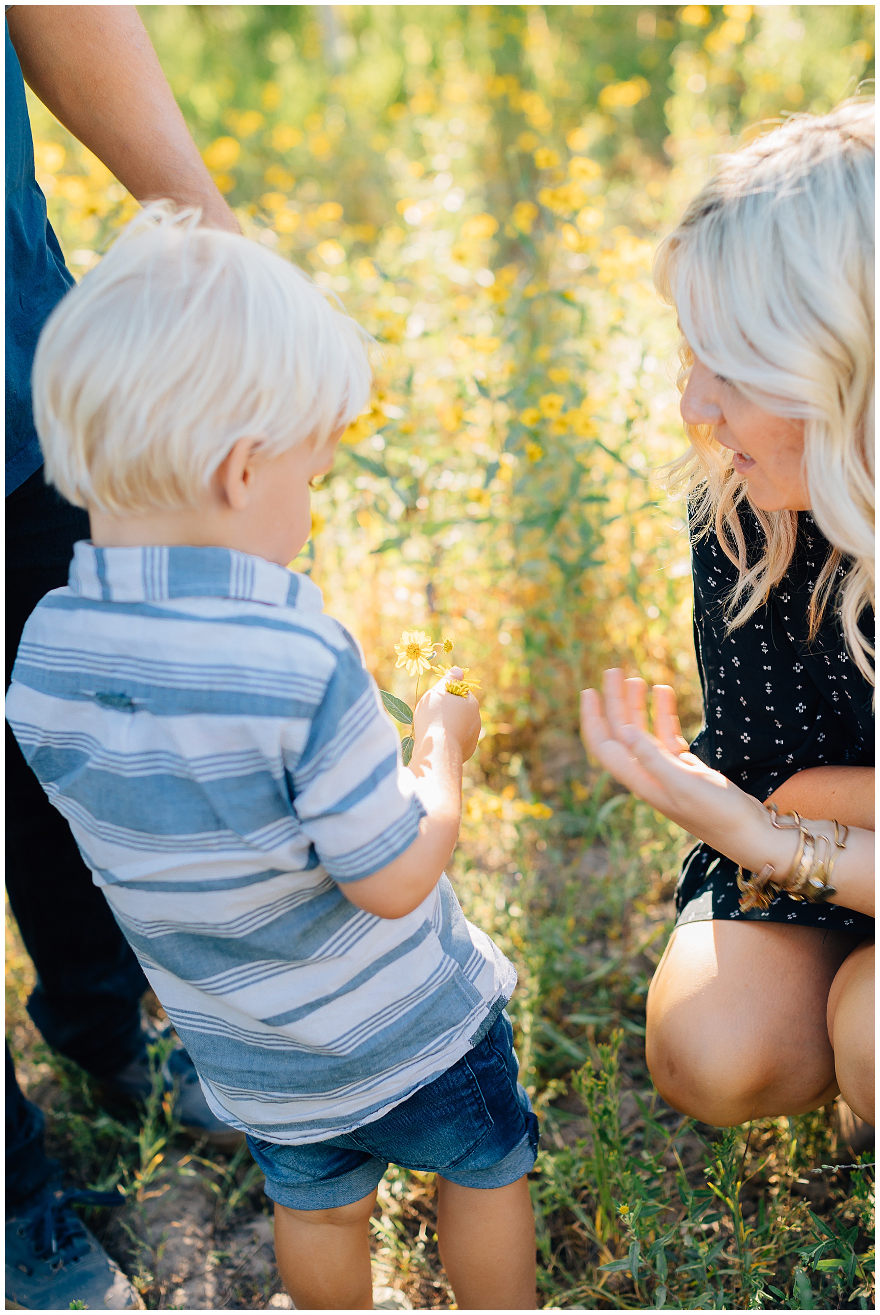 Frame | Squaw Peak Family Pictures | Utah 