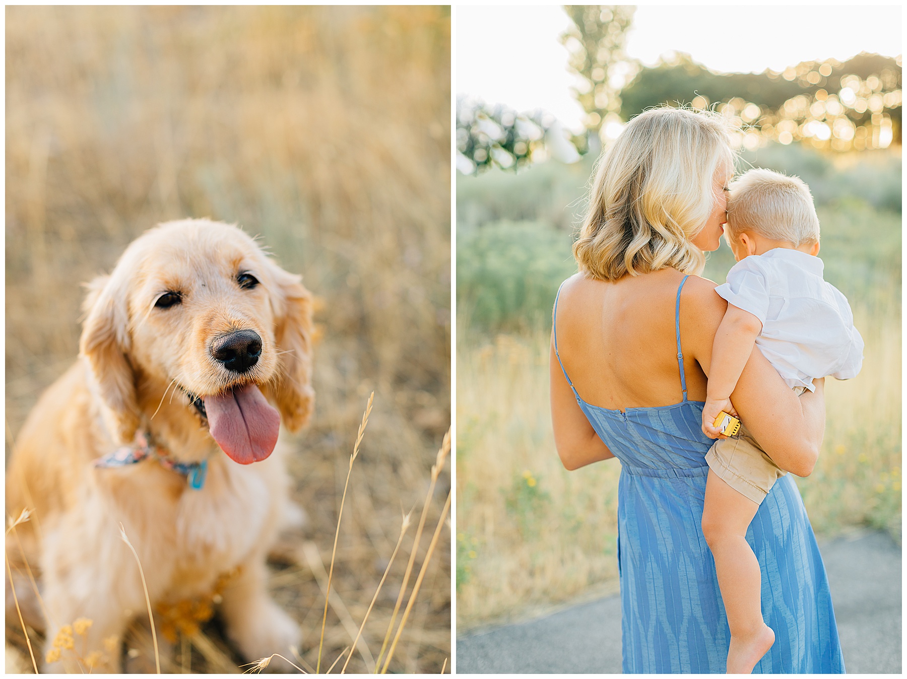 Drees | Tanners Flat Family Pictures