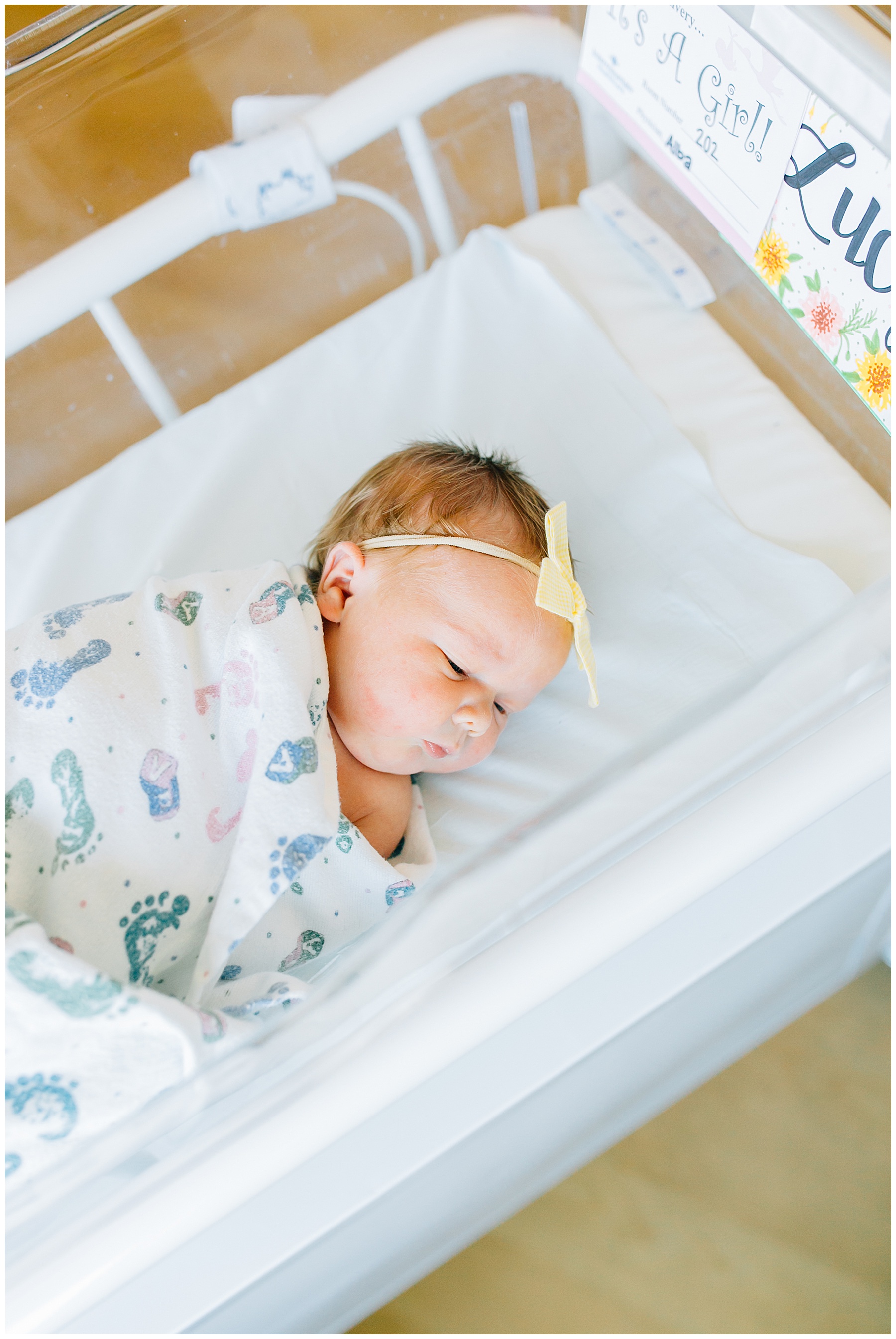 Baby Lucy | American Fork Fresh 48 Session