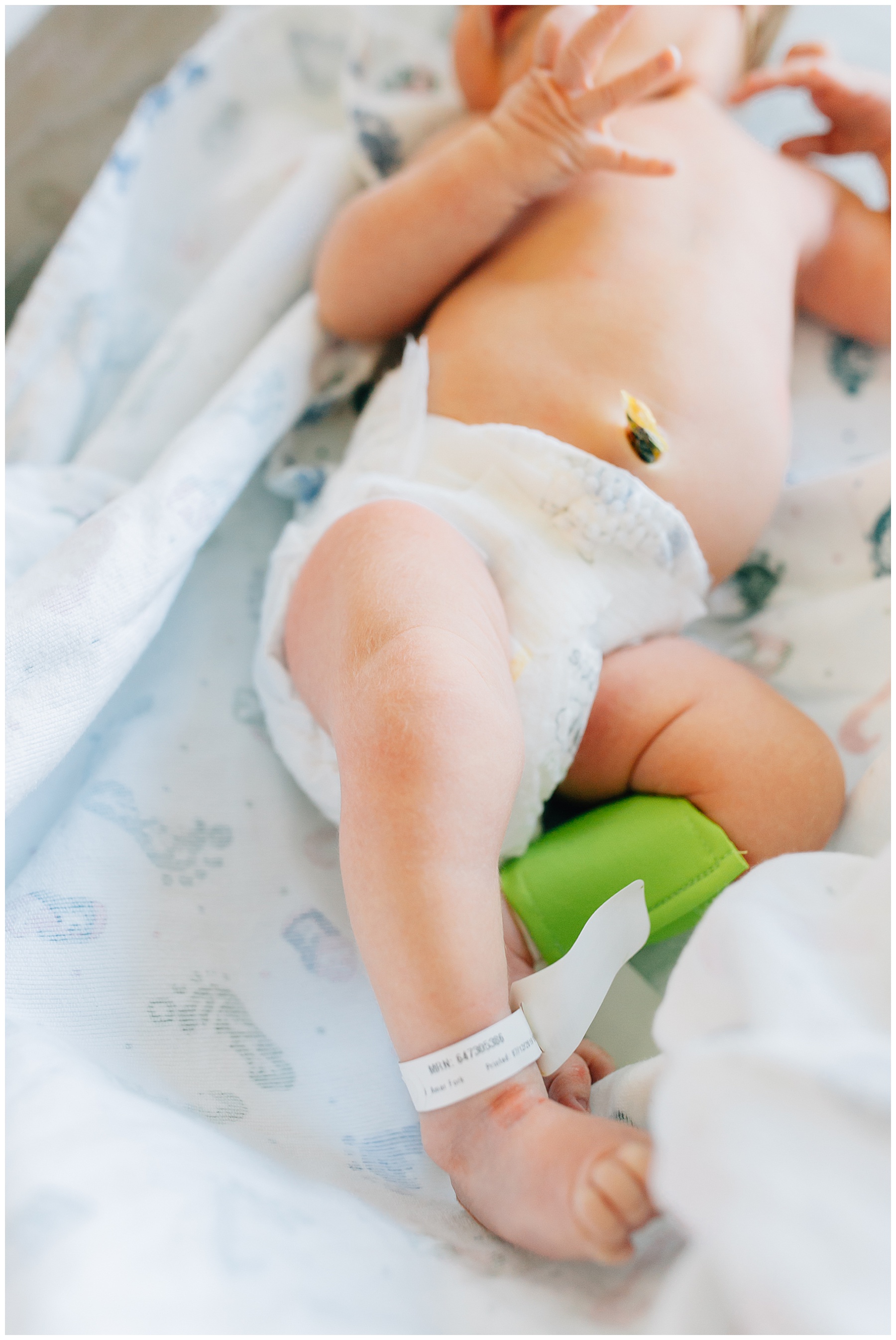 Baby Lucy | American Fork Fresh 48 Session