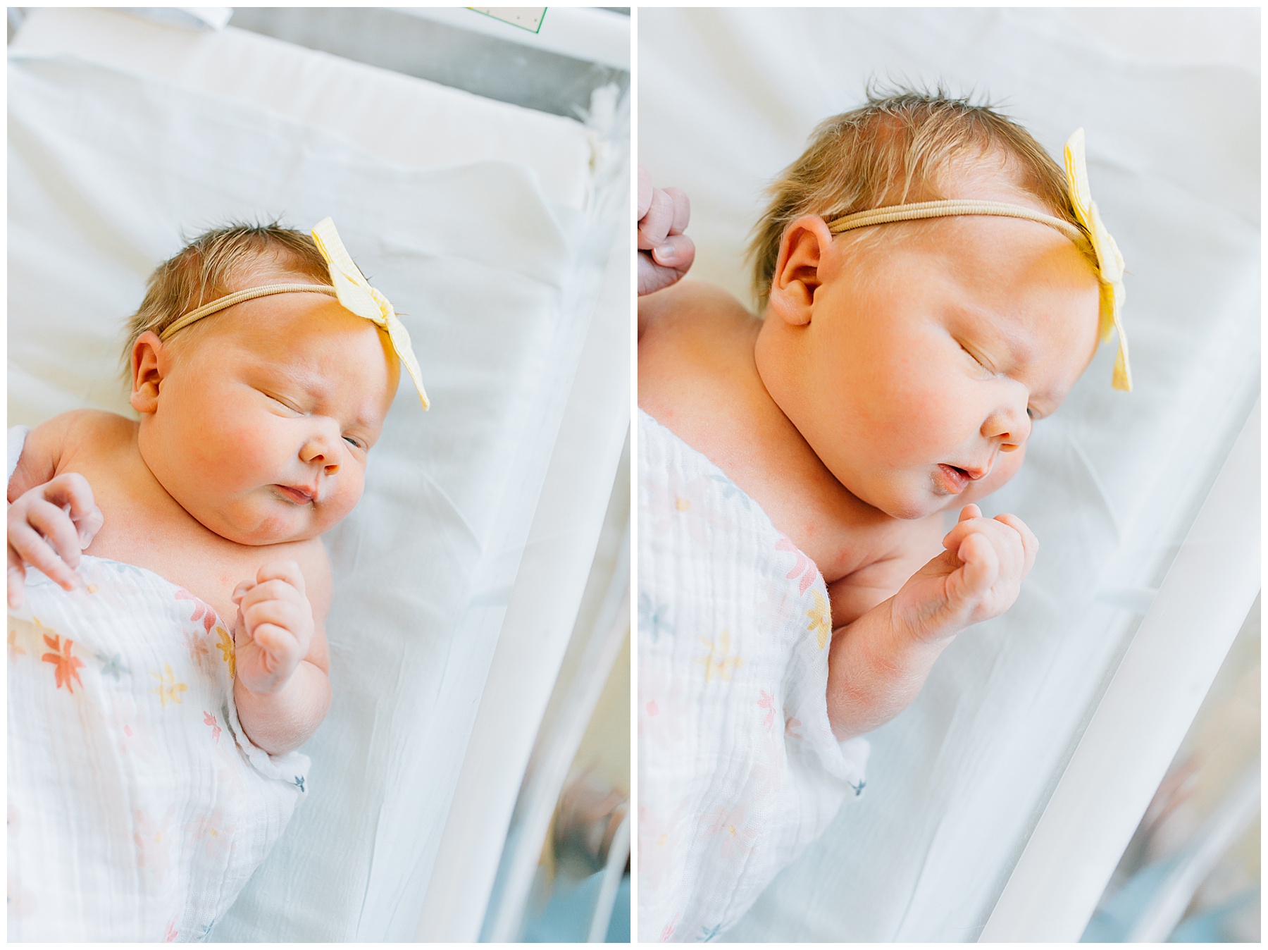 Baby Lucy | American Fork Fresh 48 Session