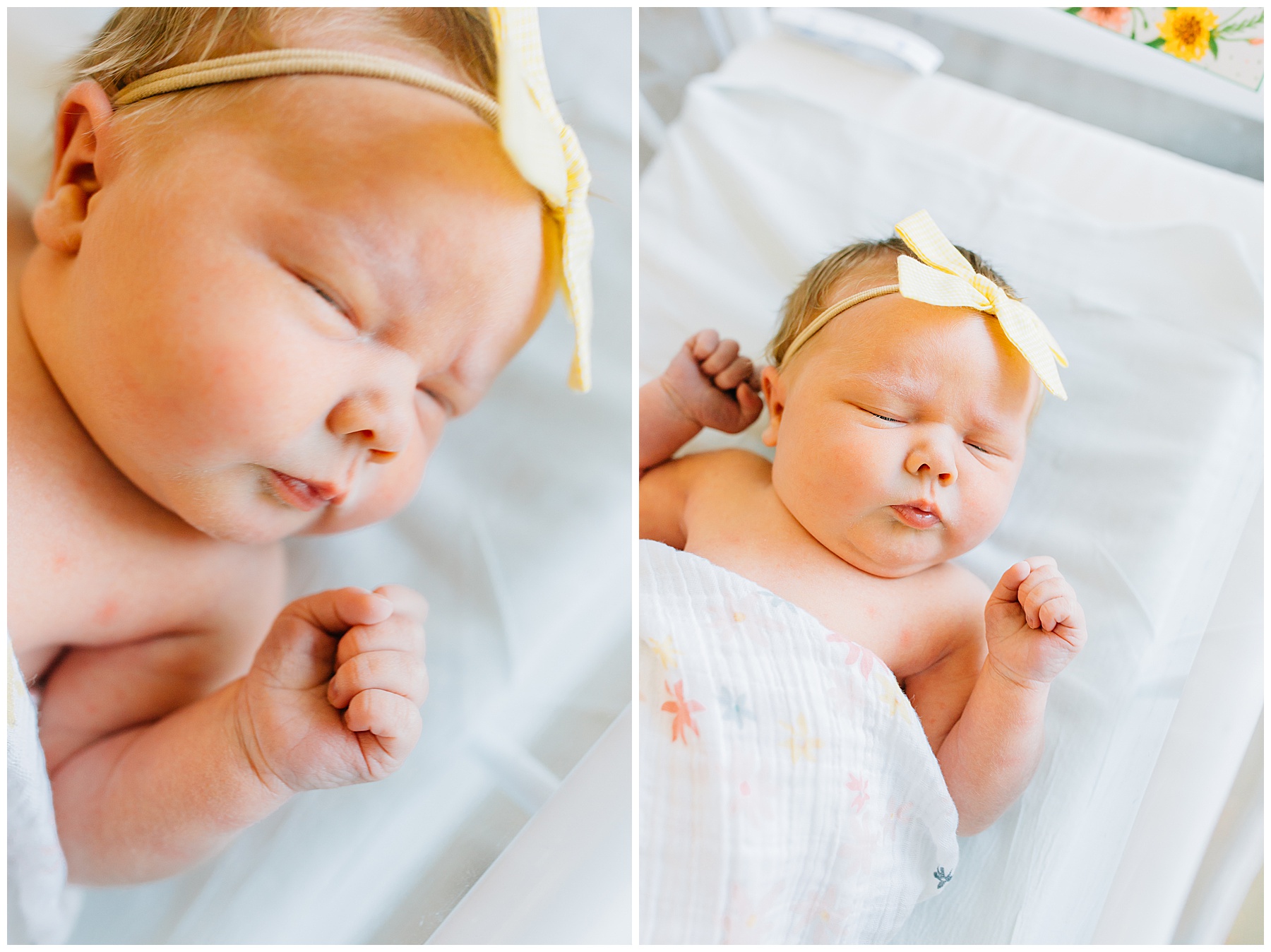 Baby Lucy | American Fork Fresh 48 Session