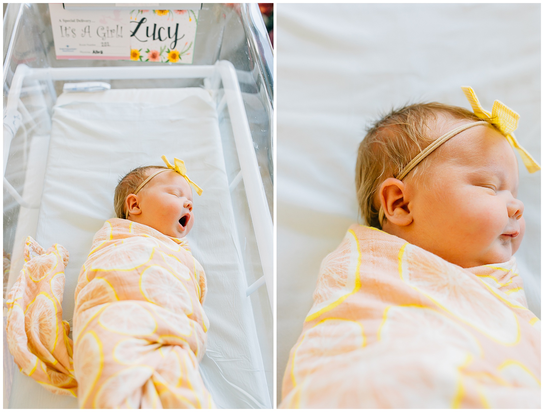 Baby Lucy | American Fork Fresh 48 Session