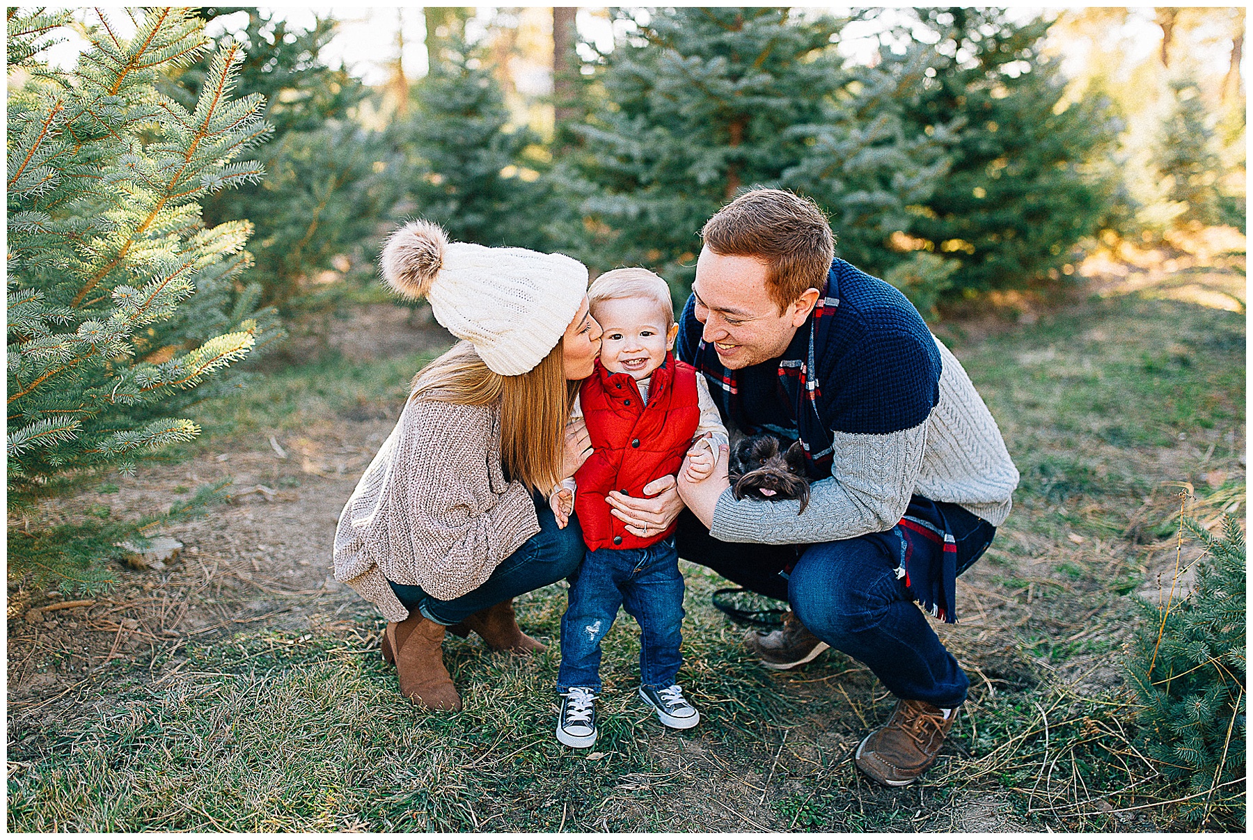 McNees | Christmas Mini Sessions at a Tree Farm