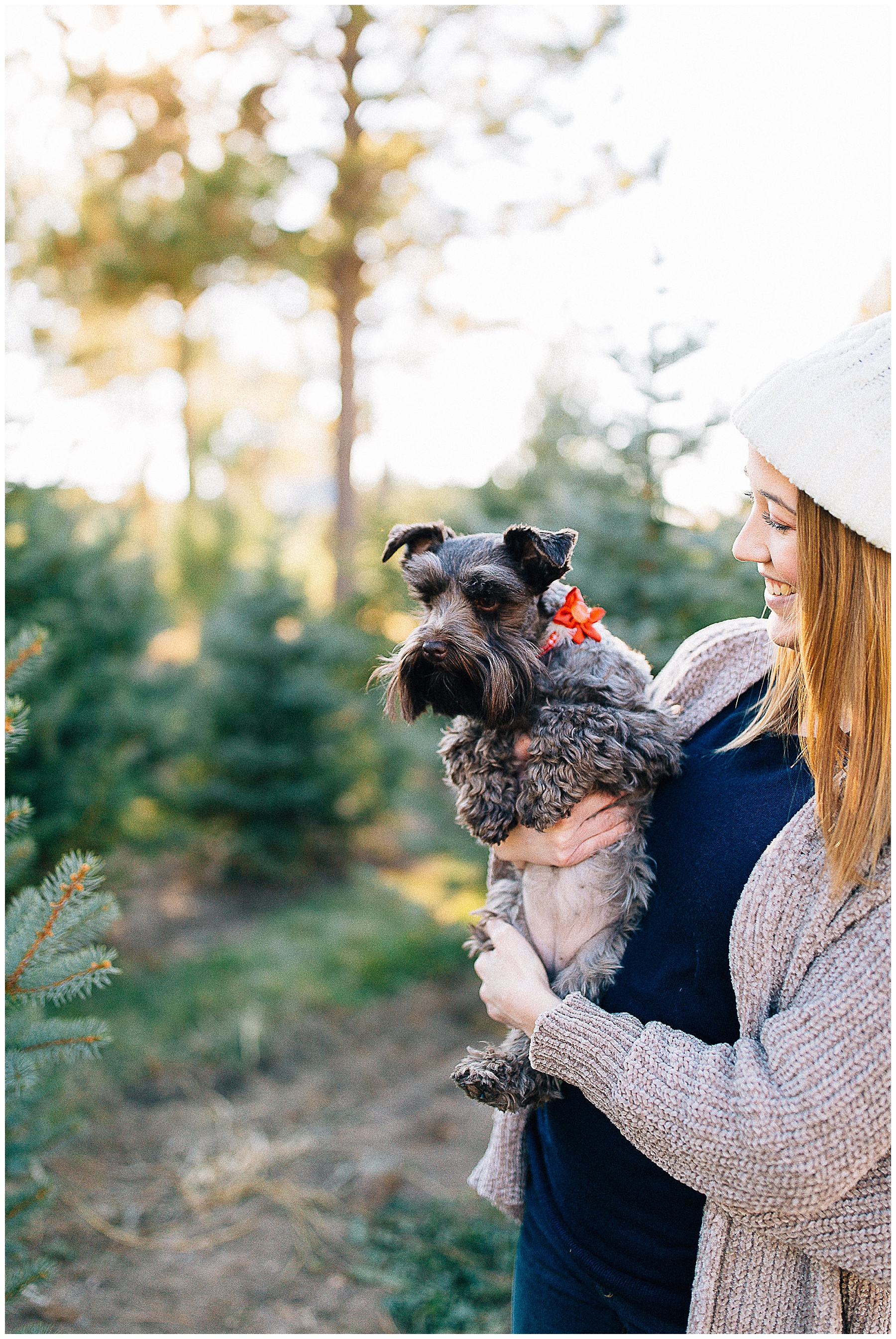 McNees | Christmas Mini Sessions at a Tree Farm