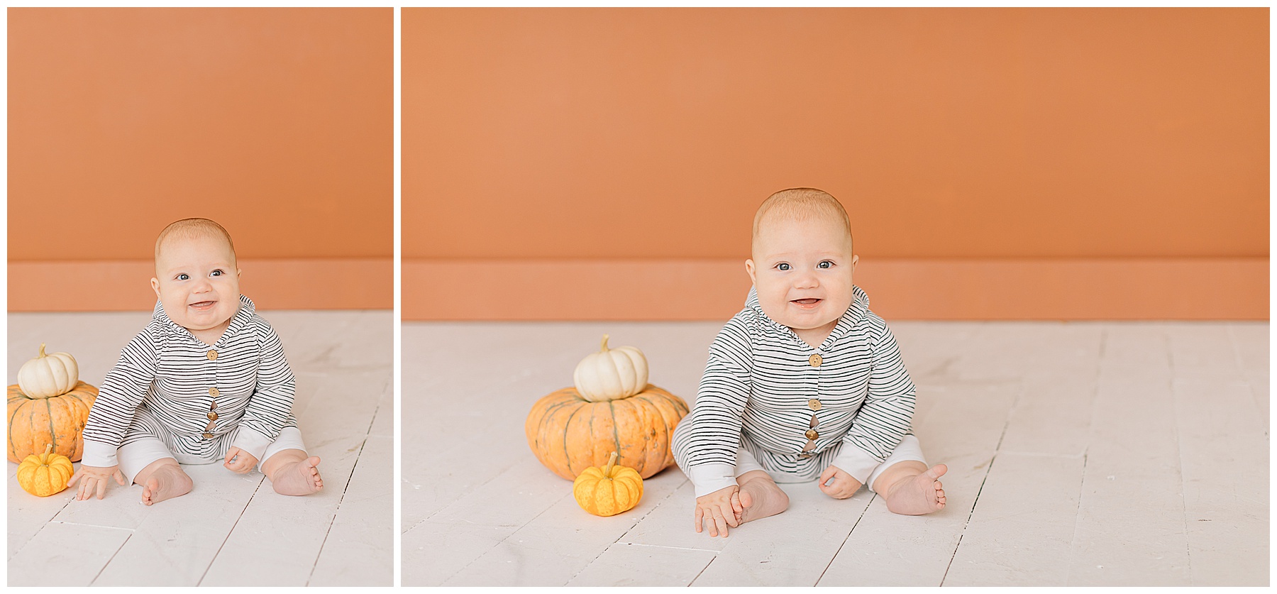 Halloween Mini Sessions | Robbins