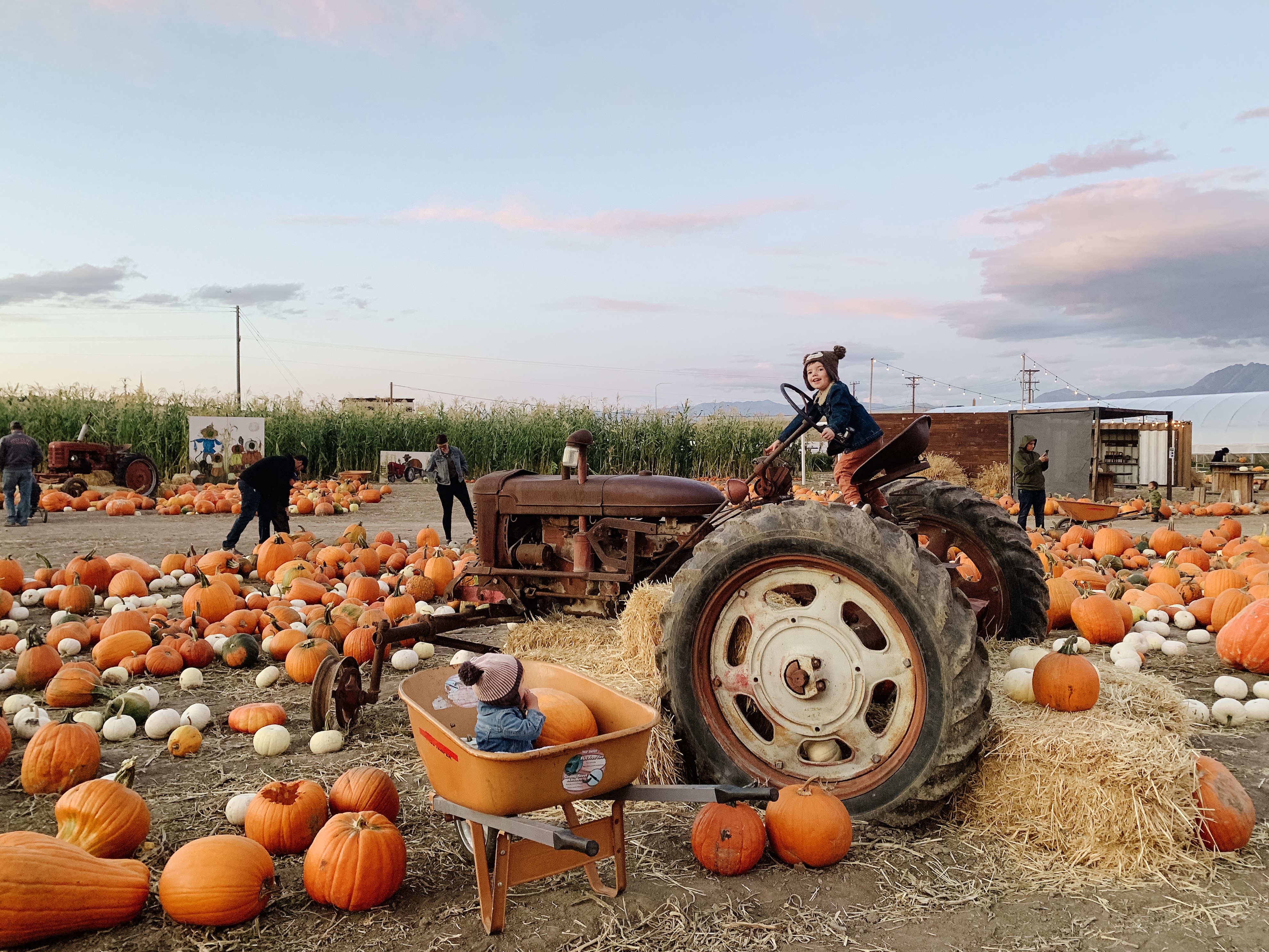 Visiting Peterson's Pumpkin Patch in Riverton