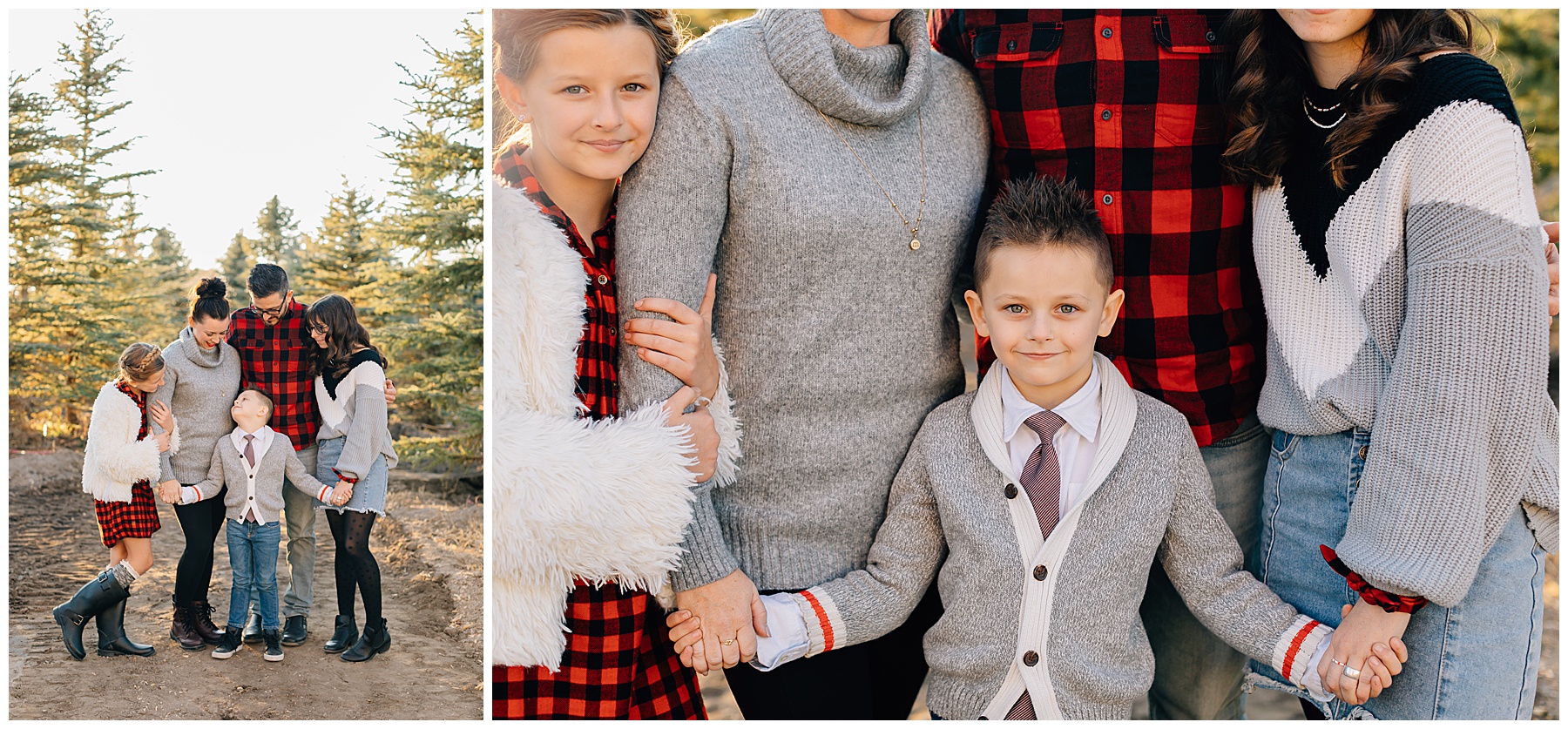 Christmas Mini Sessions | Willowcreek Tree Farm