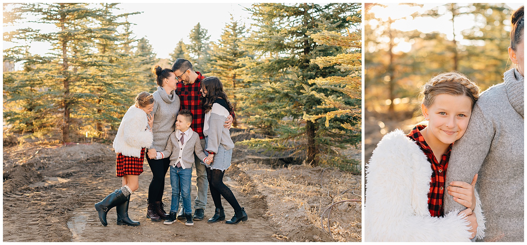 Christmas Mini Sessions | Willowcreek Tree Farm