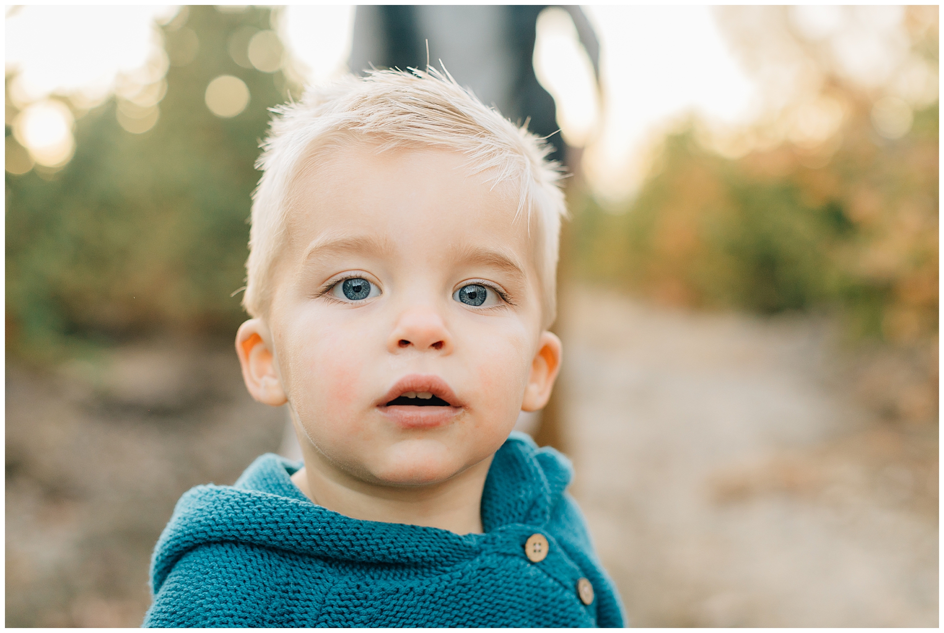 Willowcreek Tree Farm Family Pictures | Drees