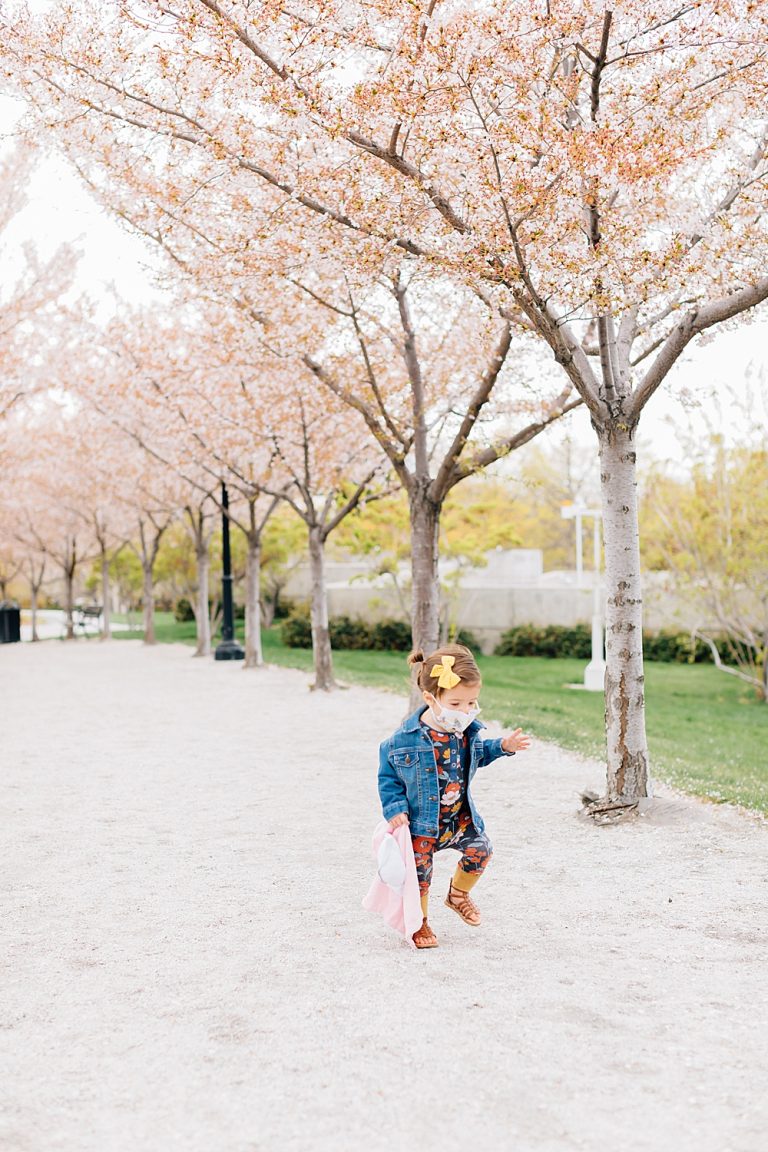Visiting the Capitol Blossoms During Quarantine