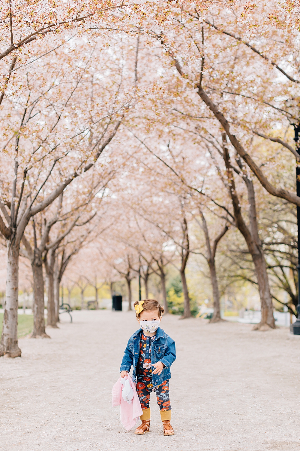 Visiting the Capitol Blossoms During Quarantine