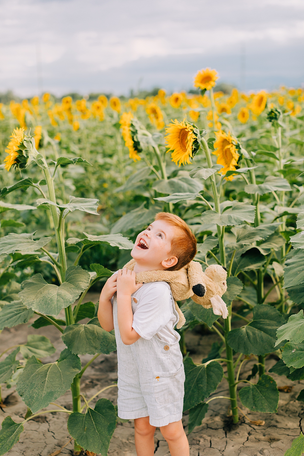 Cross E Ranch Sunflower Festival