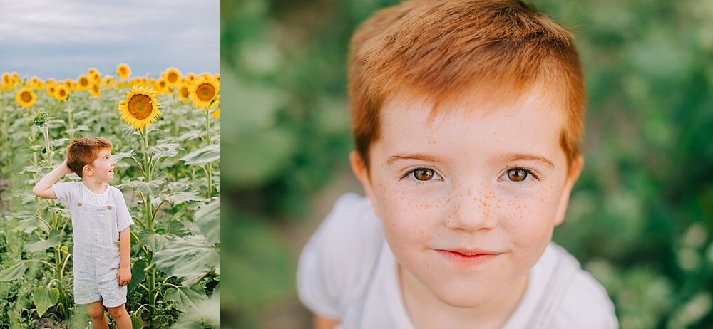 Cross E Ranch Sunflower Festival