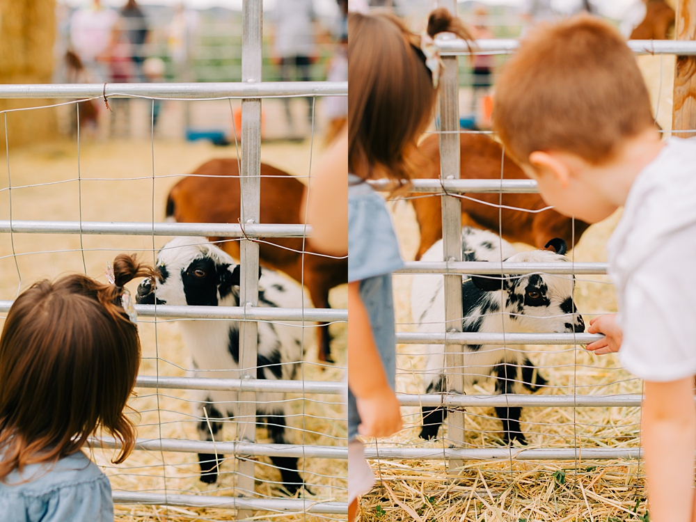 Cross E Ranch Sunflower Festival