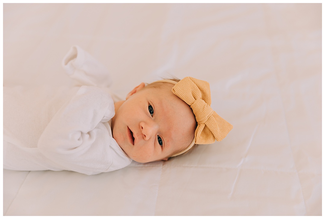 Utah Newborn Photographer | Baby Wheat