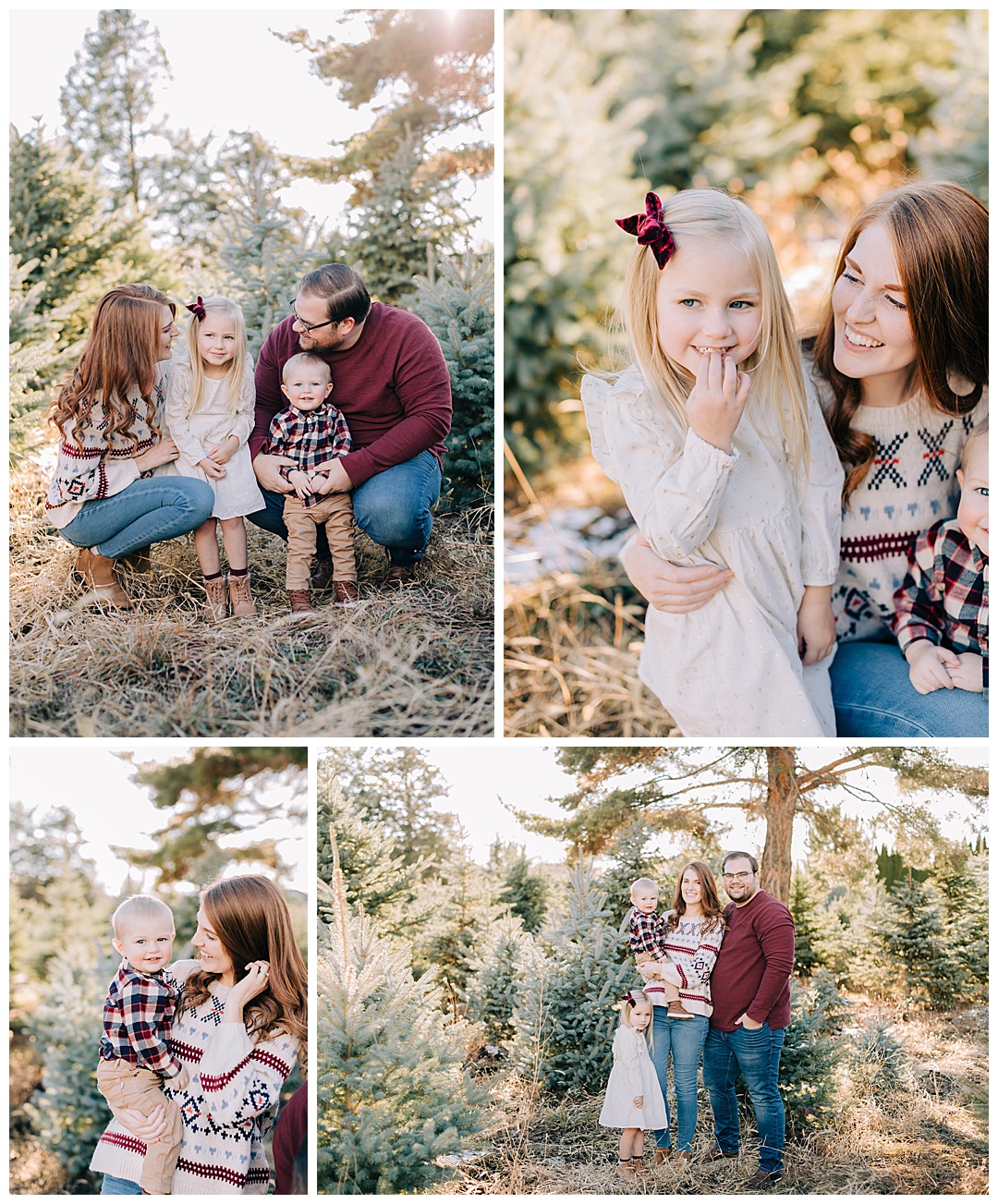 Christmas Tree Farm Pictures | Peart