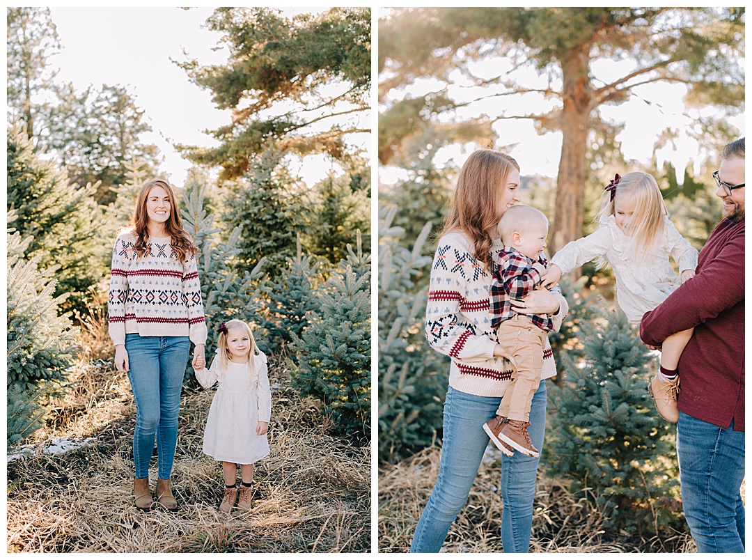 Christmas Tree Farm Pictures | Peart