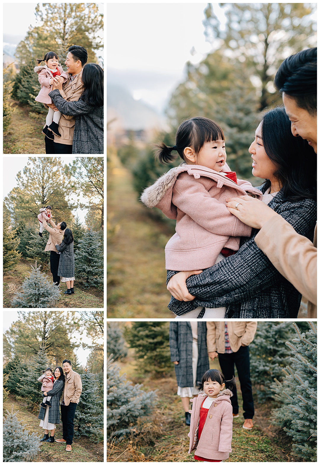 Christmas Family Pictures | Kim Family
