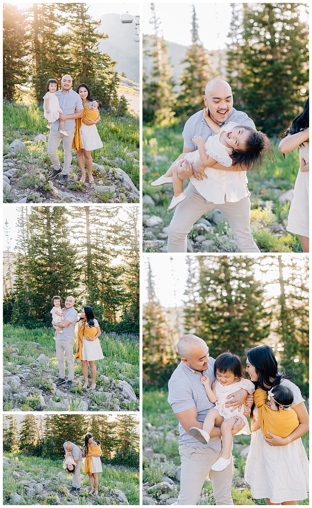 Albion Basin Pictures | Tran Family