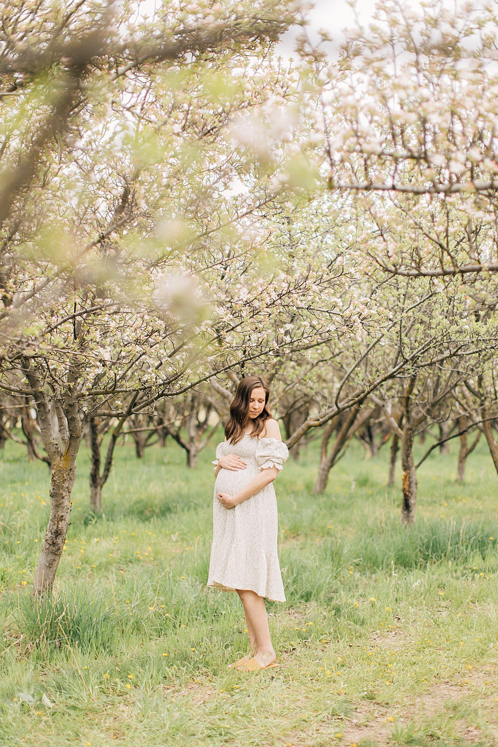 Everything You Need to Know About Shooting at the Provo Orchard