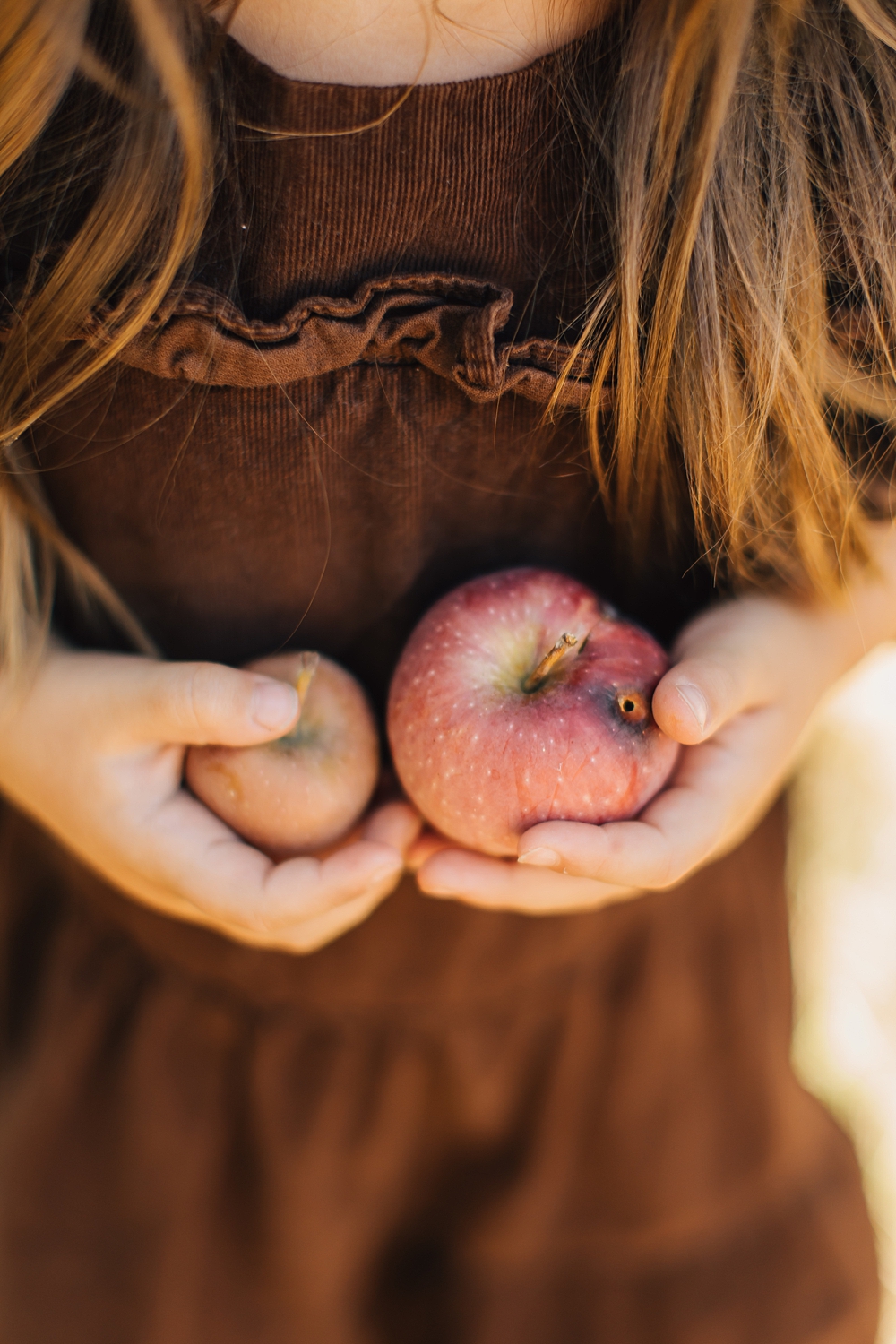 Happy Birthday Lulu | Fall Apple Orchard