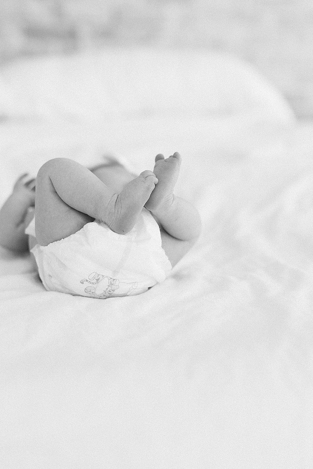 Baby L | Salt Lake Newborn Photographer
