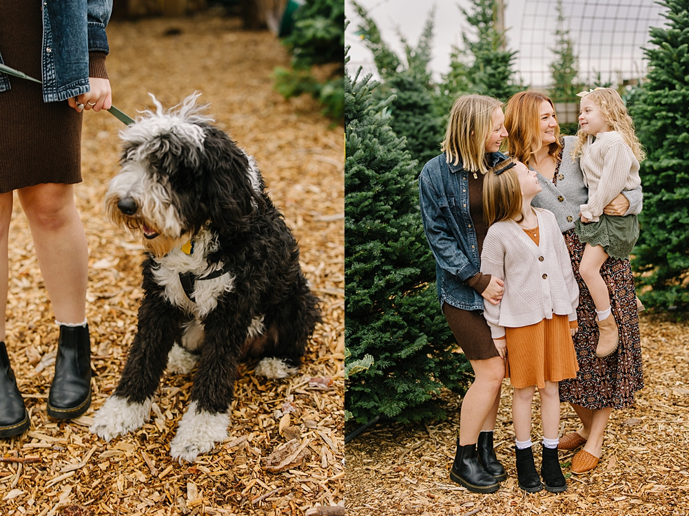 Barlow Family | Kinlands Christmas Tree Pictures